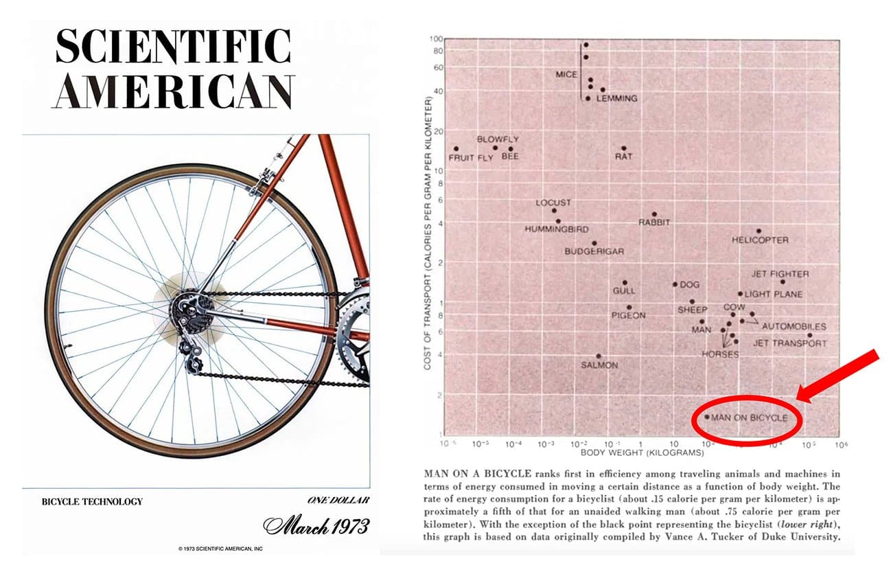 A 1970s Scientific American study on locomotion efficiency inspired Steve Jobs’s famous ‘bicycle for the mind’ metaphor. Except we’ve been pedaling on the Information Superhighway for decades since.
